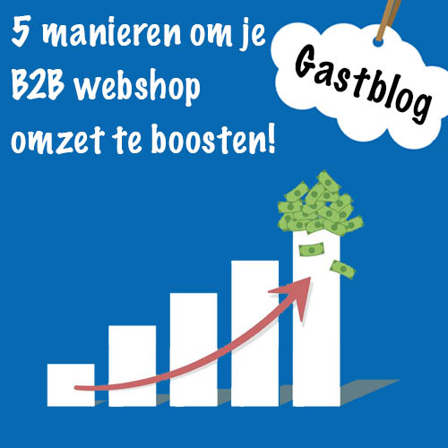 5 ways to boost your B2B webshop sales