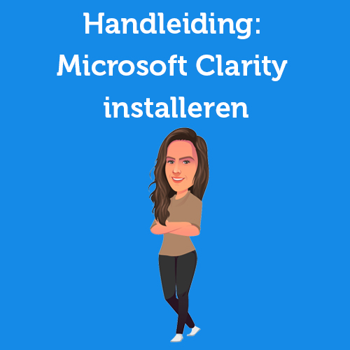 Installing Microsoft Clarity