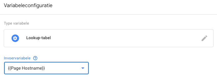 Input variable page hostname