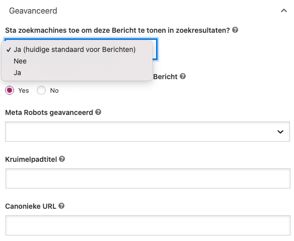 set page to noindex