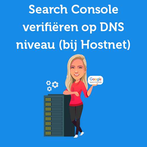 Search Console verification at the DNS level (at Hostnet)